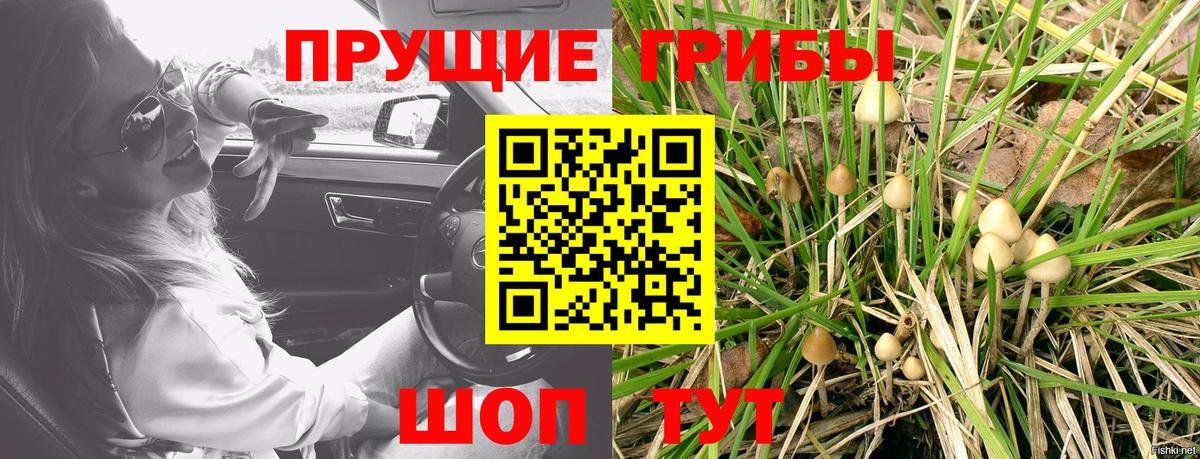 Меф кристаллы  Каннабис  COCAIN  Мирный  Вход с VPN 