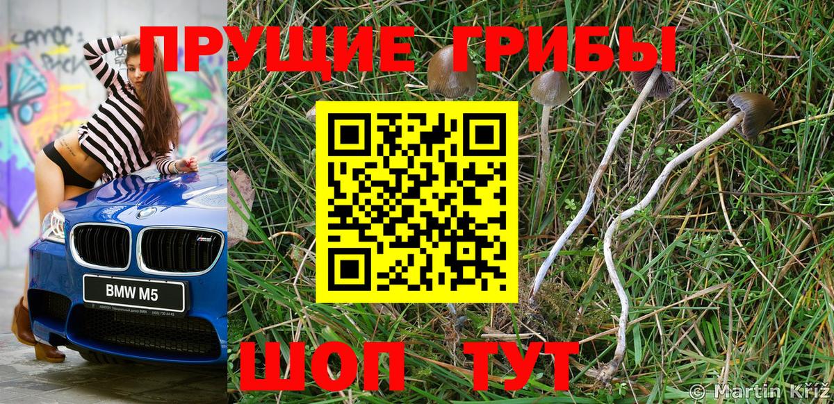 Мирный  Псилоцибиновые грибы GOLDEN TEACHER  Галлюциногенные грибы мухоморы  Вход с VPN 