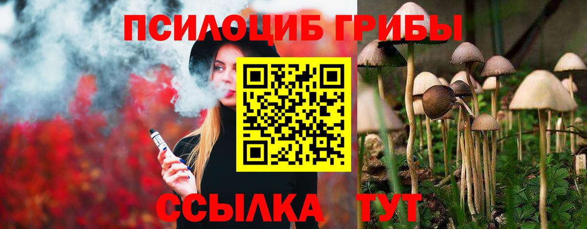Псилоцибиновые грибы Psilocybe Мирный