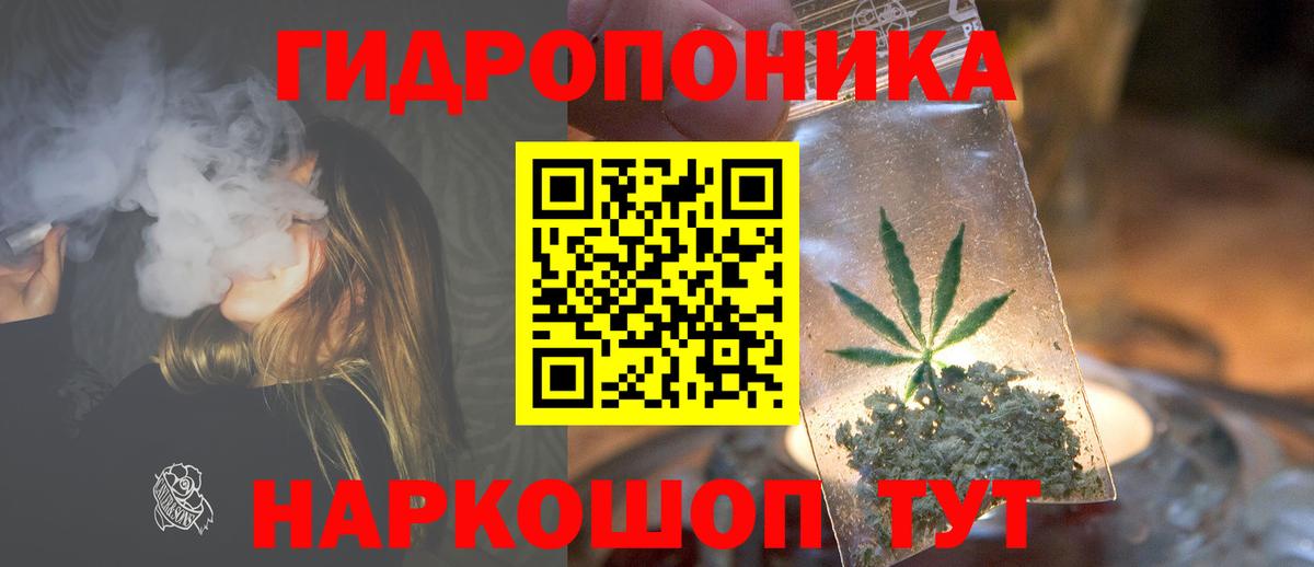 Бошки марихуана OG Kush  Канабис MAZAR  Вход с VPN  Мирный  Конопля тримм  Шишки марихуана марихуана 